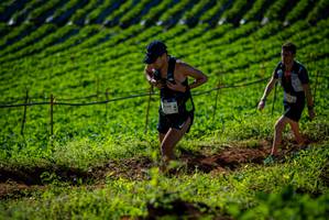 BIB: 6100
                            <button type="button" onclick="openModal(19160667)" class="btn btn-primary btn-sm float-right btn-popup" data-toggle="modal" data-target=".modal-high-quality">
                        <i class="fas fa-shopping-cart"></i> Add to Cart
                    </button>
                                            <button type="button" onclick="isThisMe(19160667, true)" class="btn btn-success btn-sm float-right btn-popup btn-isme hidden" data-toggle="tooltip" data-placement="bottom" title="นี่คือรูปของคุณใช่ไหม คลิกที่นี่เพื่อเอาเข้าอัลบั้ม">
                        <i class="fas fa-plus"></i> Add to album
                    </button>
                    <button type="button" onclick="isThisMe(19160667, false)" class="btn btn-warning btn-sm float-right btn-popup btn-isnotme hidden">
                        <i class="fas fa-ban"></i> Remove from album
                    </button>